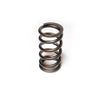 Hamilton Cams 103# Valve Springs