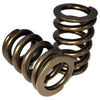 Hamilton Cams 110# Valve Springs