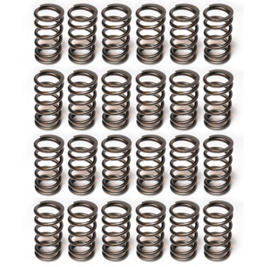Hamilton Cams 103# Valve Springs (07-S-003)
